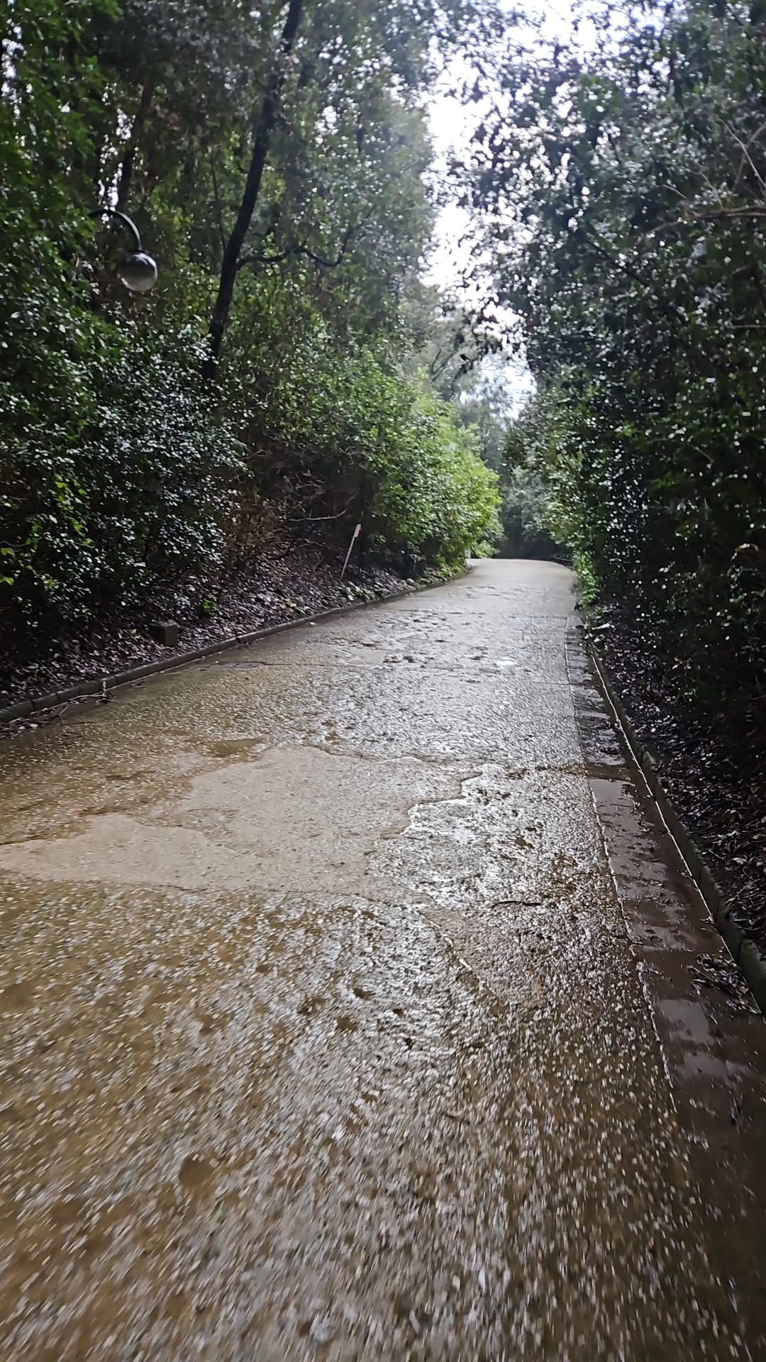 Il Respiro della Floridiana
